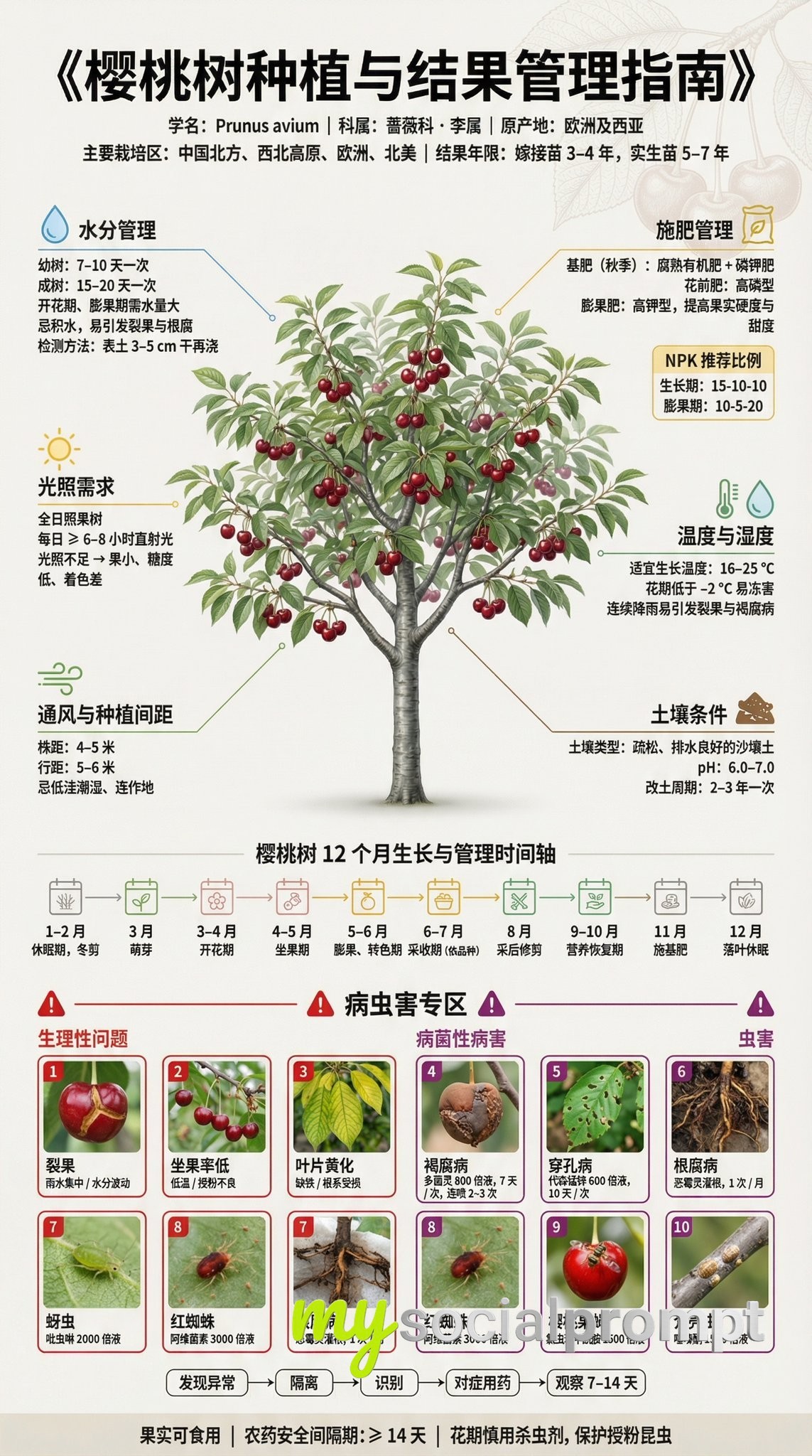 nanobanana prompt: Museum-Grade Fruit Tree Cultivation Infographic with Scientific Data Visualization 4